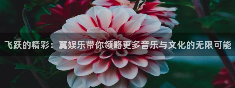 富邦娱乐：飞跃的精彩：翼娱乐带你领略更多音乐与文化的无限可能